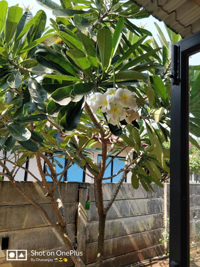Chalet Casa Amor, Perfect Home Amidst Tranquility Karjat Luaran gambar